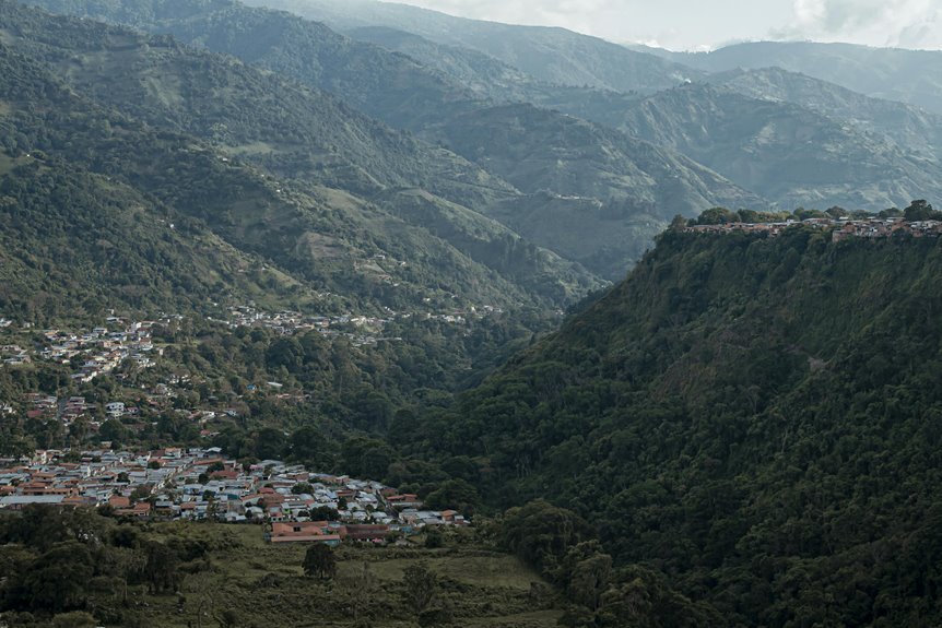 family advice and tips