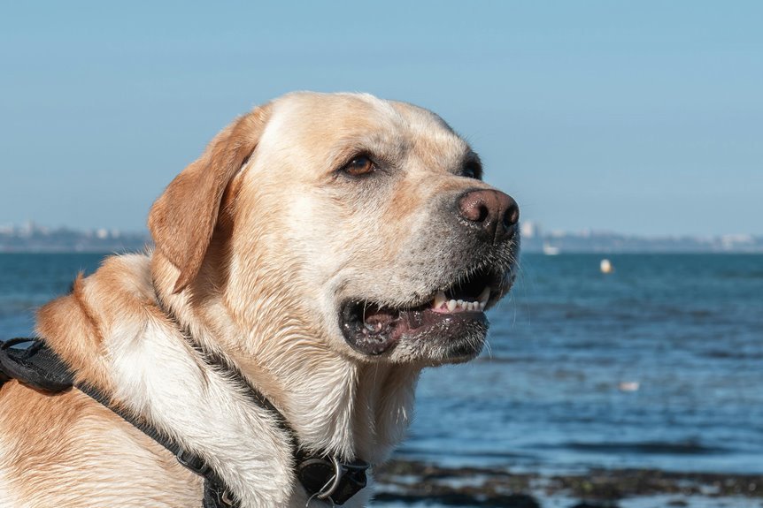 kerryfinlay87 activity insights overview