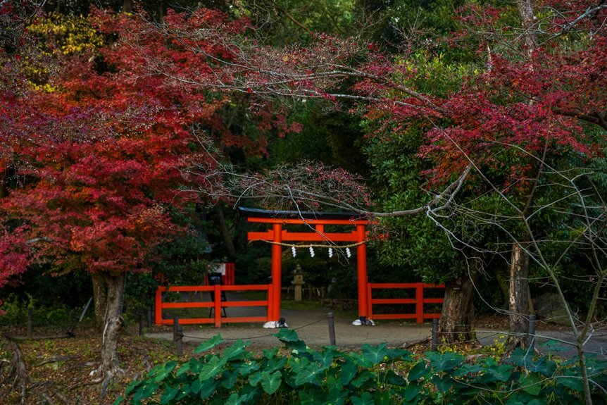 moonstride echo bridge contact