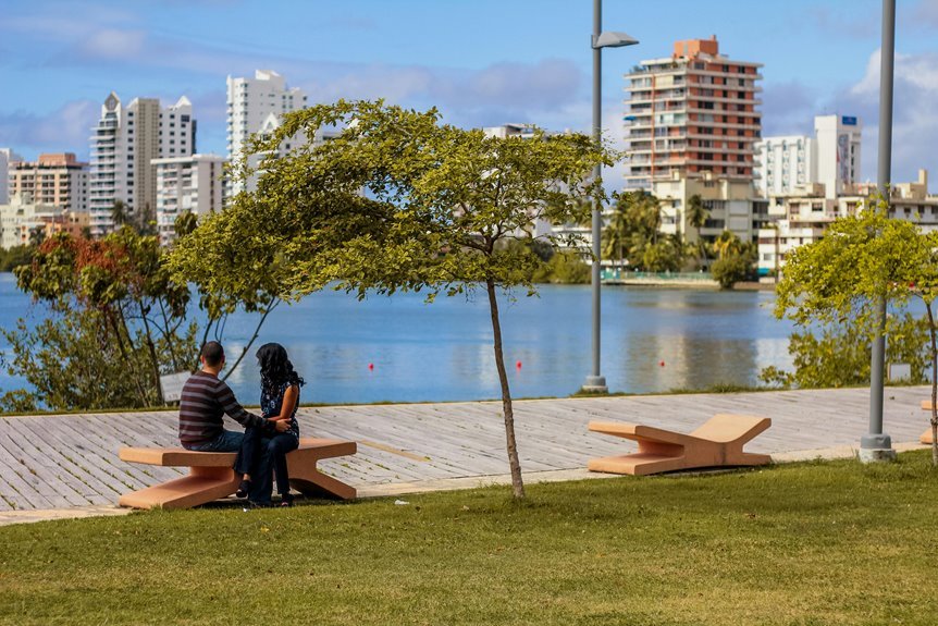 skybound codex of runes