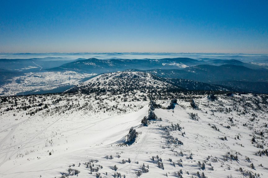 treeline quartz drift product