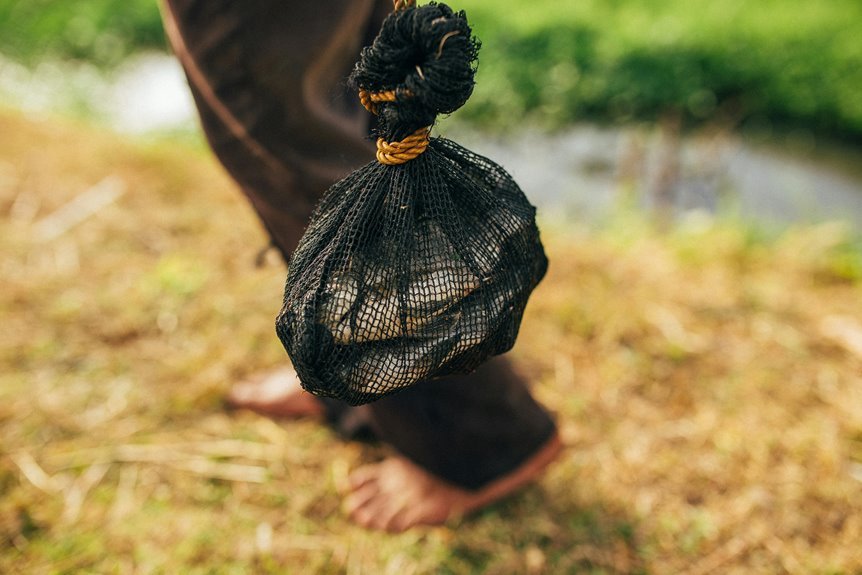 ryan s world financial details