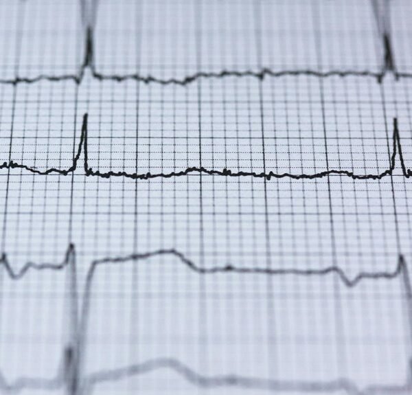 Cyber Pulse 18003966861 Digital Firm Sinknews Com