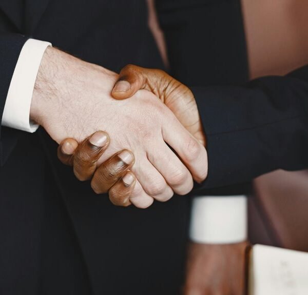 digital network firm details